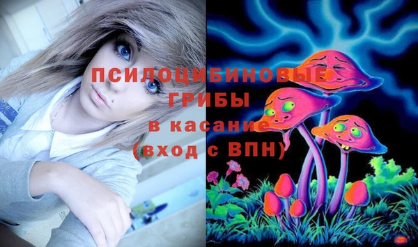 прущие грибы Алзамай