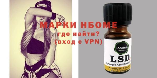 прущие грибы Алзамай