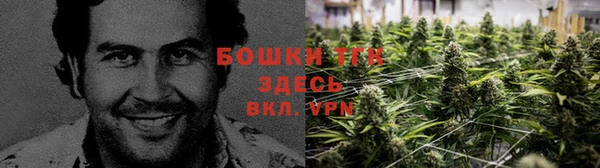 первитин Алексин