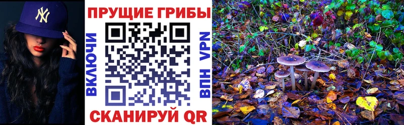 Псилоцибиновые грибы MAGIC MUSHROOMS  площадка состав  Алупка 